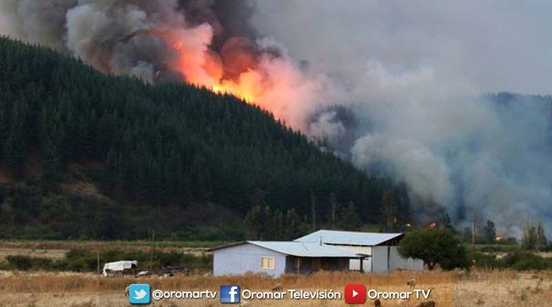 Imagen de la noticia: Detienen a sospechosos de iniciar incendios forestales en Chile