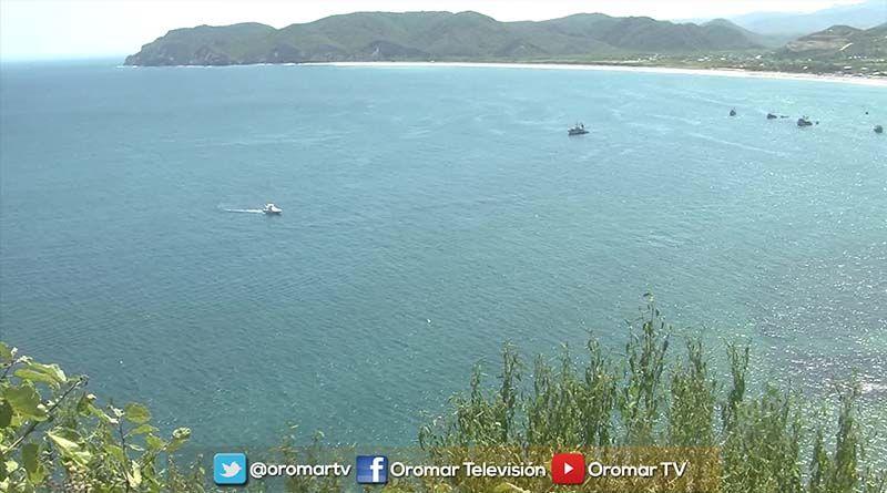 Imagen de la noticia: Puerto López organiza la Feria Algarrobo