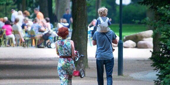 Imagen de la noticia: All Directories in Men