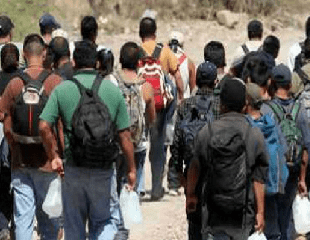 Imagen de la noticia: Ecuatorianos rescatados de grupos armados irregulares