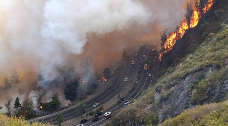 Imagen de la noticia: Incendio en Quito: emergencia nacional por incendio forestal en Guápulo y Cumbayá