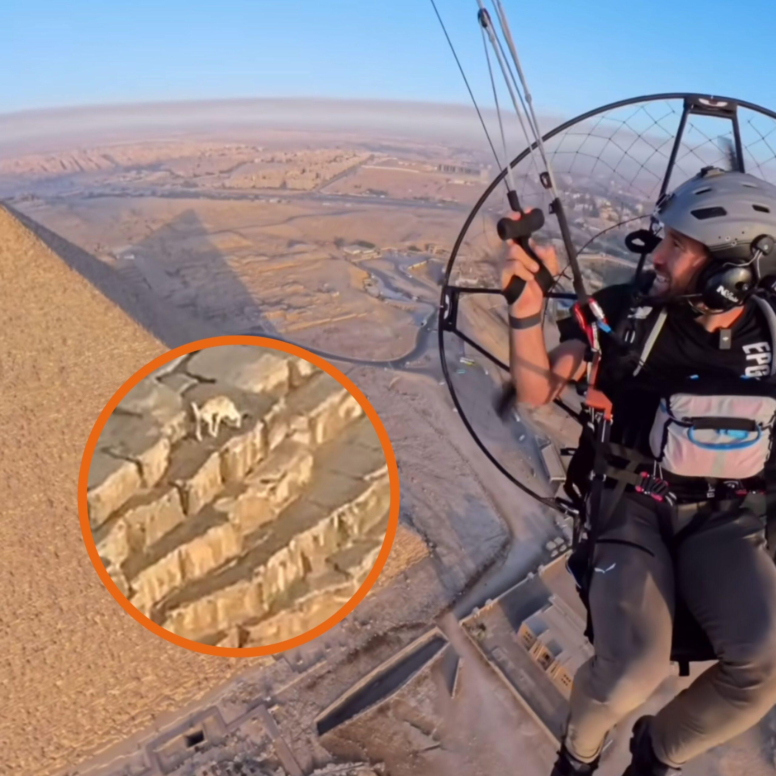 Imagen de la noticia: ¡Insólito! Perrito es captado en la cima de la pirámide de Egipto