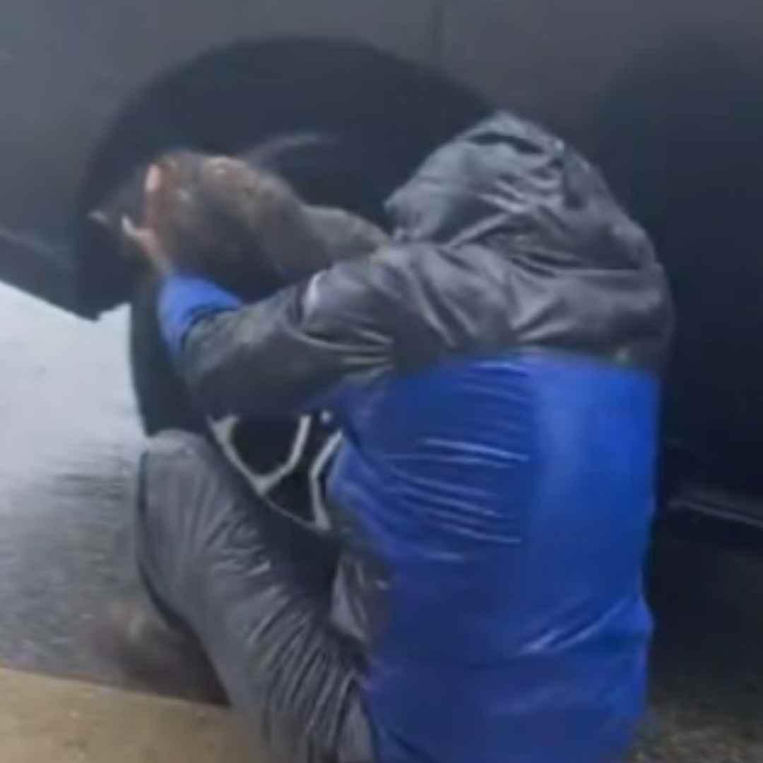 Imagen de la noticia: Gata rescatada tras refugiarse bajo un carro durante el huracán