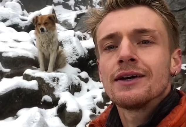 Imagen de la noticia: Un perro salva la vida a un excursionista en una montaña de Perú