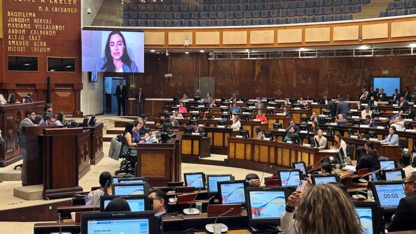 Imagen de la noticia: Asamblea Nacional respalda a Verónica Abad tras suspensión