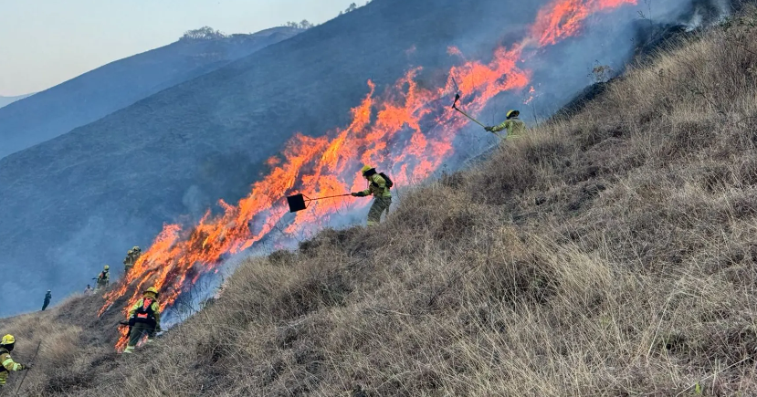 Imagen de la noticia: Cuenca en emergencia tras voraz incendio en parque «El Cajas»