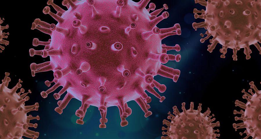 Imagen de la noticia: Alerta internacional tras la detección de tres virus mortales