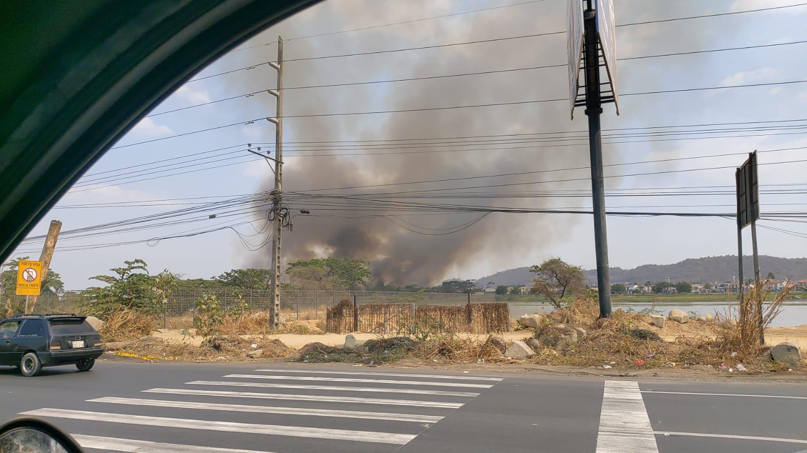 Imagen de la noticia: Incendio forestal cerca de la autopista Narcisa de Jesús, en Guayaquil