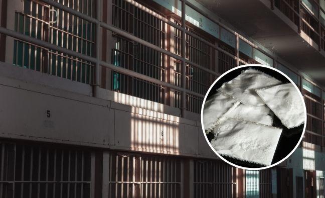 Imagen de la noticia: Ocho procesados por presunto tráfico de drogas hacia Europa