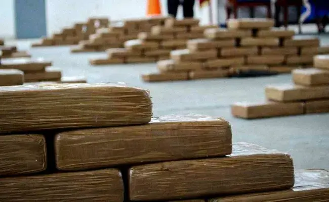 Imagen de la noticia: Caso Pampa: Sentencian a 14 implicados en la red de narcotráfico de la Mafia Albanesa