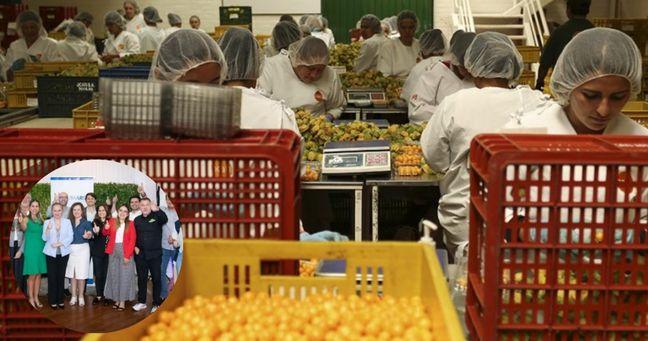 Imagen de la noticia: Empresas ecuatorianas consolidan su expansión en EE.UU. con nuevas oportunidades de exportación
