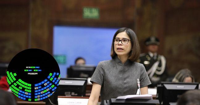 Imagen de la noticia: Asamblea frena comisión del correísmo para oficializar el dólar en la Constitución