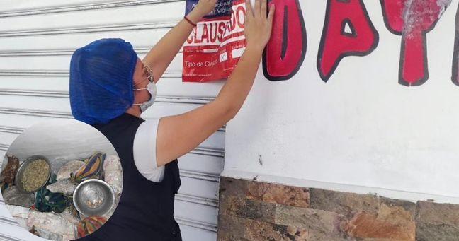 Imagen de la noticia: Cierran chifa en Manta por insalubridad extrema: hallaron cucarachas y heces de roedores