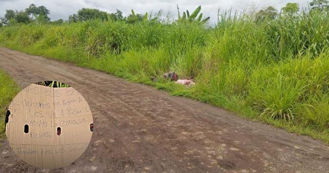 Imagen de la noticia: Macabro hallazgo en Los Ríos: cinco cuerpos y panfletos amenazantes en Palenque