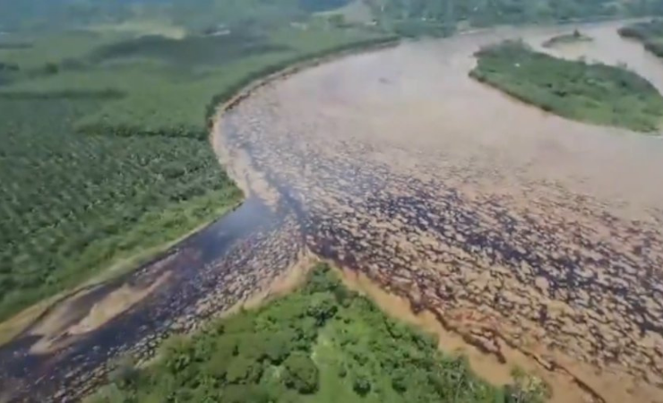 Imagen de la noticia: Emergencia ambiental en Esmeraldas: el derrame de petróleo que puso en crisis a la provincia