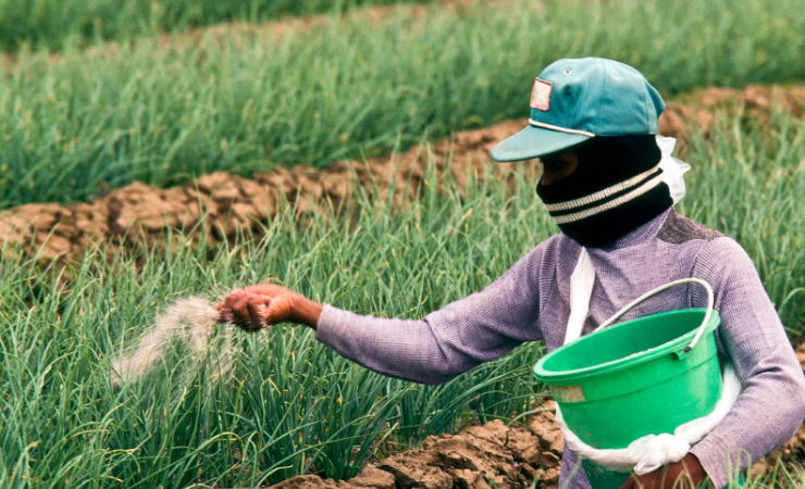 Imagen de la noticia: Gobierno entrega bono de USD 800 para agroproductores afectados por lluvias
