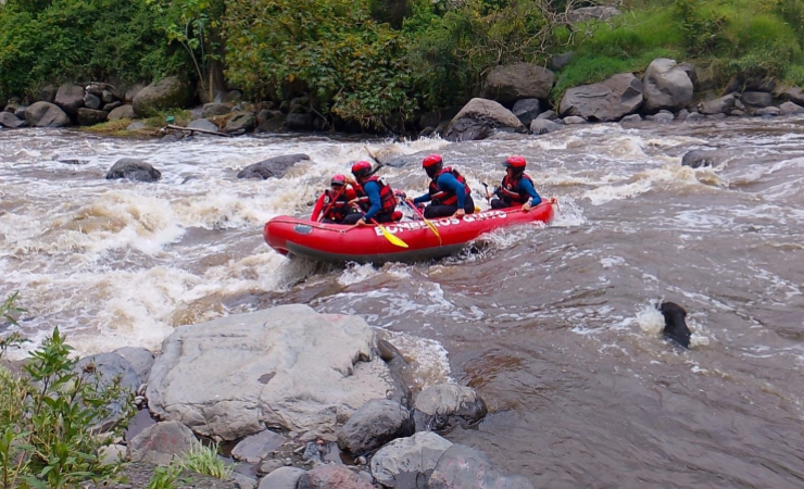 Imagen de la noticia: Emergencia en Quito: continúa la búsqueda de Josué David, niño de 10 años que cayó al río San Pedro