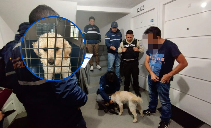 Imagen de la noticia: Hombre recibe multa de $4.730 por maltrato animal en el norte de Quito