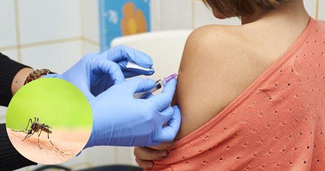 Imagen de la noticia: Ecuador confirma primer caso de fiebre amarilla: activan protocolos sanitarios en Zamora Chinchipe