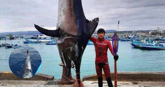 Imagen de la noticia: Hazaña en Manabí: joven atrapa pez gigante