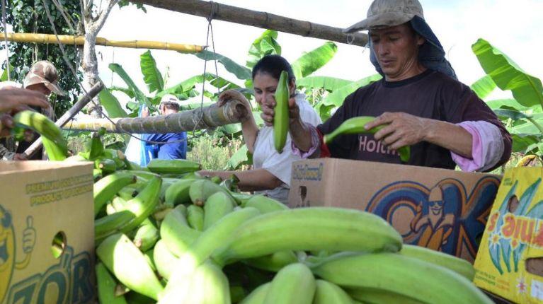 Arancel de Trump para productos ecuatorianos entra en vigencia este 7 de agosto