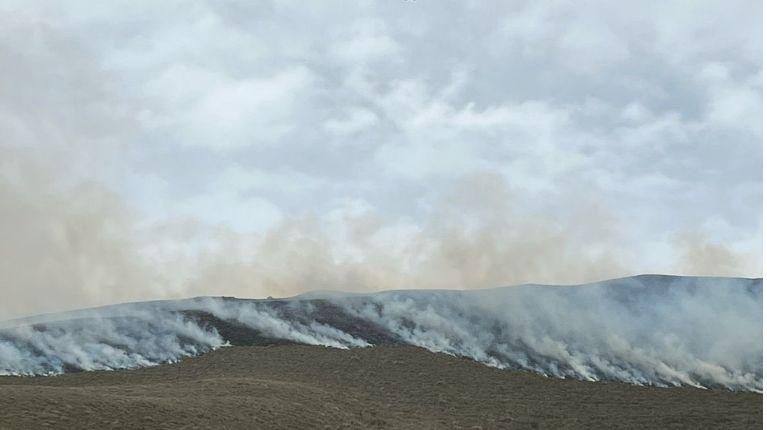 Combaten incendio forestal que se ha propagado a 1.000 hectáreas en el Parque Nacional Cotacachi Cayapas