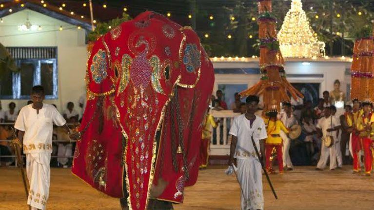 Elefante causa caos en desfile religioso de Sri Lanka