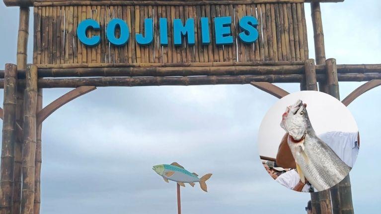 Festival Internacional de la Corvina y el Robalo en Cojimíes fue todo un éxito