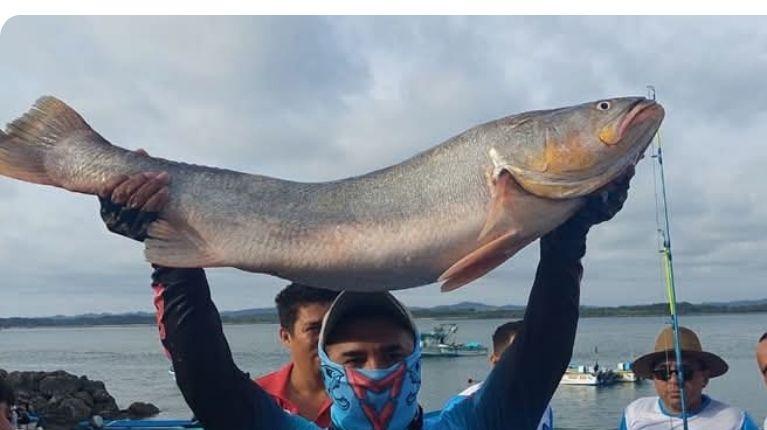 Todo listo para el Festival Internacional de la Corvina y el Robalo 2025 en Cojimíes, Manabí
