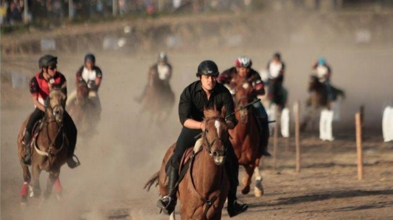 Cacería del Zorro en Ibarra queda suspendida por brote de influenza equina