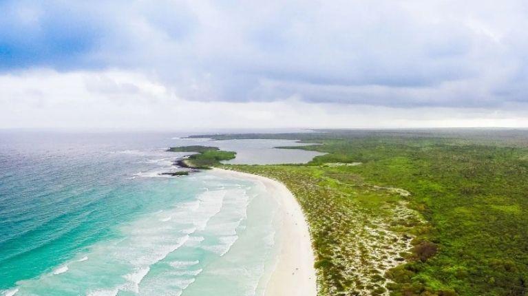Tortuga Bay: la playa de Galápagos que conquista al mundo