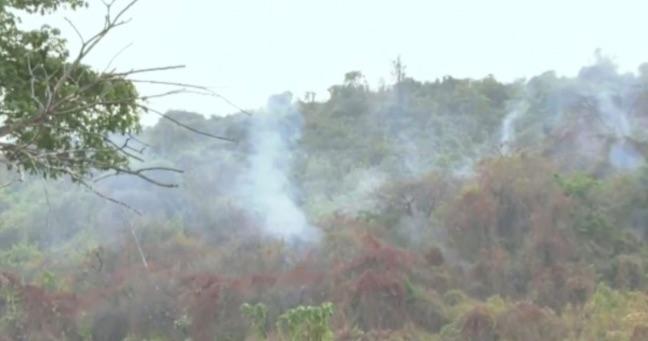 Incendio forestal en Guayaquil: doce hectáreas devastadas y focos activos este viernes 26 de septiembre