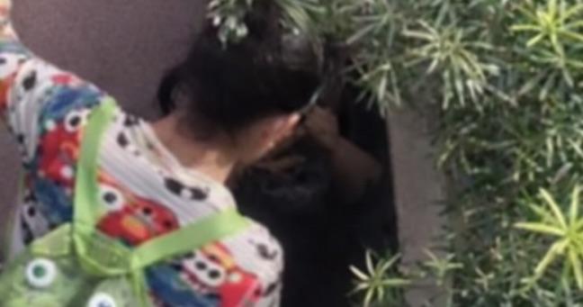 Maestra obliga a niña a comer vómito en guardería (VIDEO)