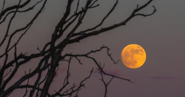 Prepárate para la “luna de sangre” en Ecuador:¿cómo y a qué hora?