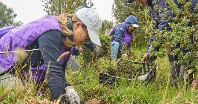 Corporación Favorita superará los 275.000 árboles sembrados para 2028