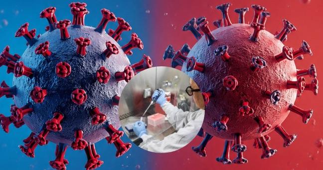 ¿Nueva pandemia?: riesgo del hantavirus en Ecuador