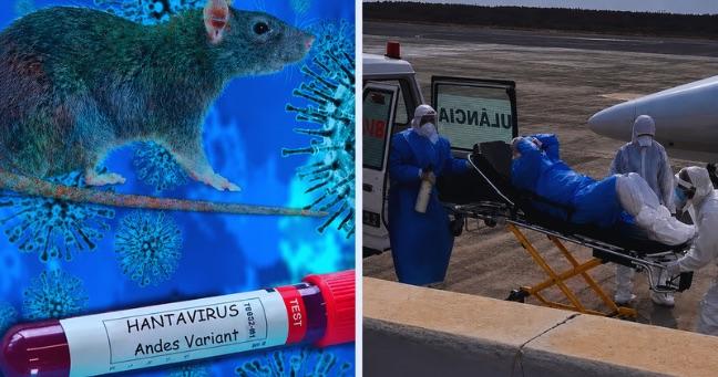 Ministerio de Salud de Perú refuerza controles sanitarios en zonas de frontera por alerta de hantavirus