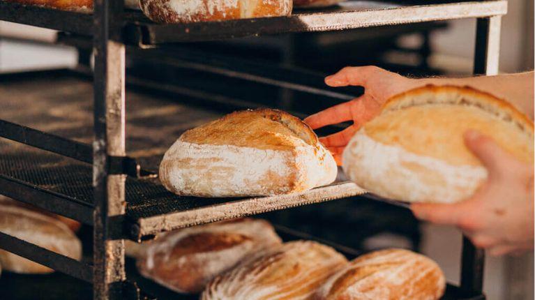 Panadería clausurada por presencia de plagas e insalubridad