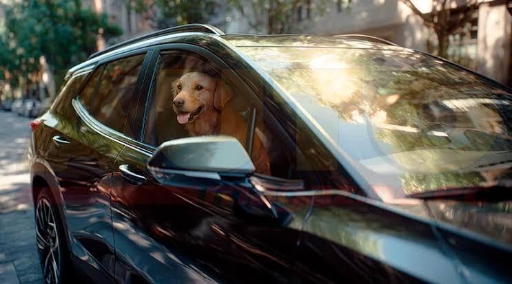 General Motors promueve una movilidad más segura para las mascotas y sus familias