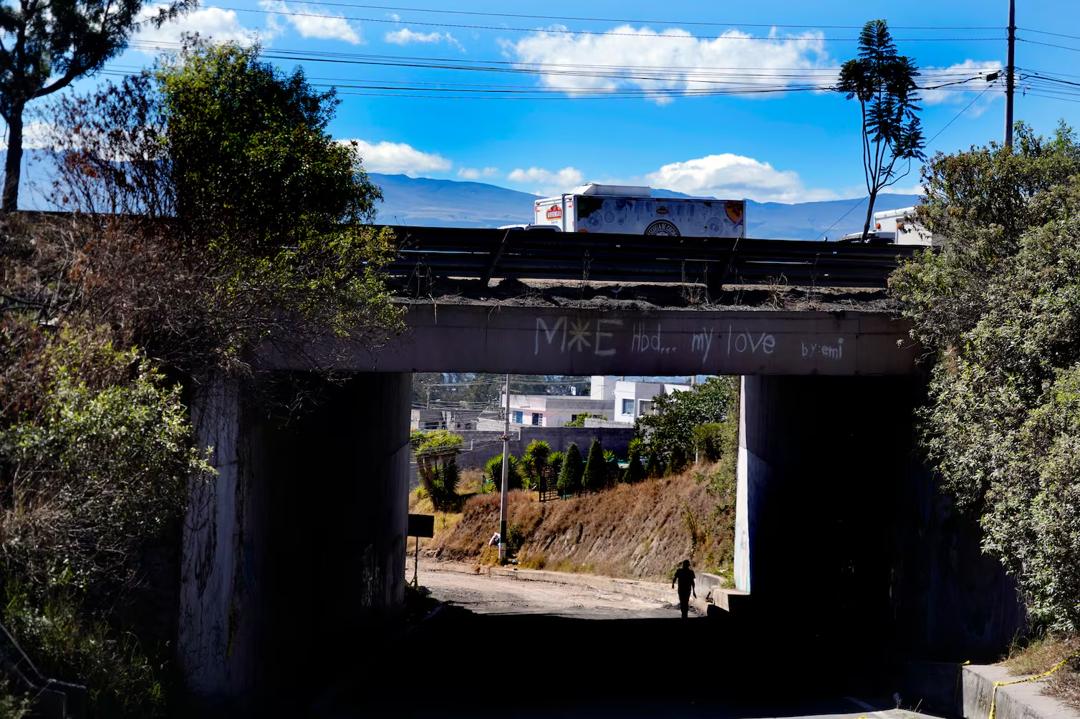 Imagen de la noticia: Cadáver embalado y ensacado es hallado colgado en Quito