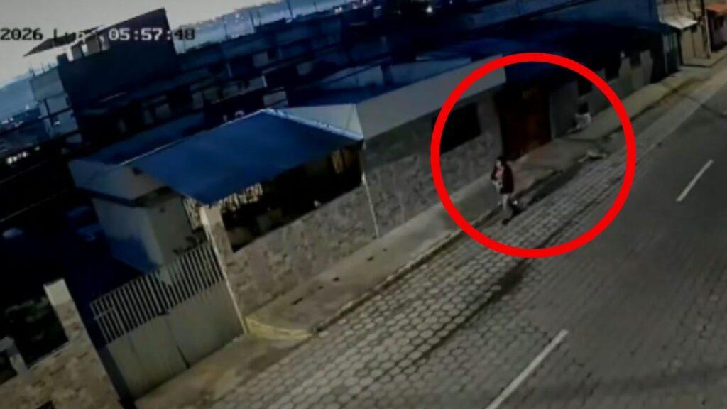 ¡Indignante!: captan presunto envenenamiento de un perro en Quito