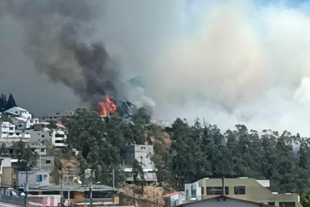 Incendio forestal en el norte de Quito genera gran nube de humo este martes 8 de septiembre