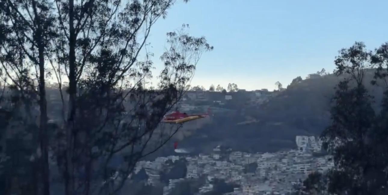 ¿Quién está detrás de los incendios en Quito?: un aprehendido y nuevas pistas sobre el origen del fuego