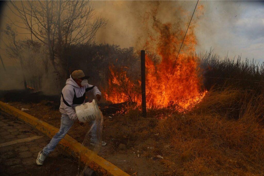 Incendio forestal en Quito: familias pierden cultivos y animales