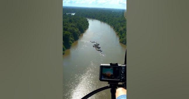 Se viraliza video de anaconda gigante en el Amazonas: el impacto recorre las redes