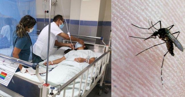 Imagen de la noticia: Casos de dengue superan los 19 mil en Ecuador: autoridades alertan repunte de enfermedades transmitidas por mosquitos