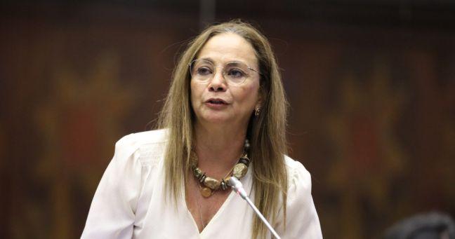 Imagen de la noticia: Pierina Correa deja la Asamblea tras rechazo a Código de Niñez