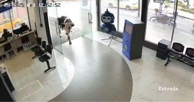 Imagen de la noticia: Insólito en Ecuador: una vaca entra a una oficina de internet y se vuelve viral