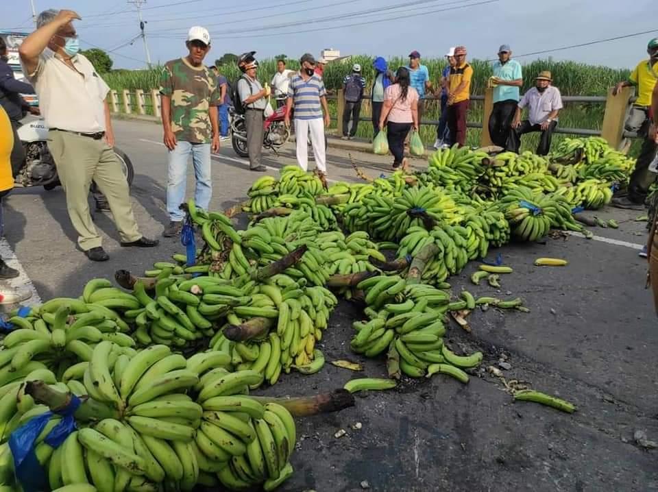 Imagen de la noticia: Bananeros cerraron vías y exigen la atención del Gobierno