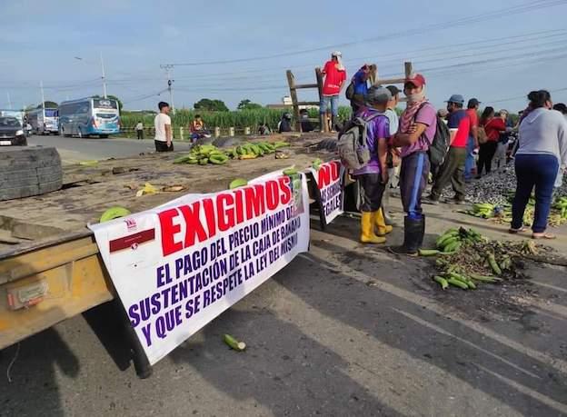 Imagen de la noticia: Productores del sector bananero mantienen paro en El Oro